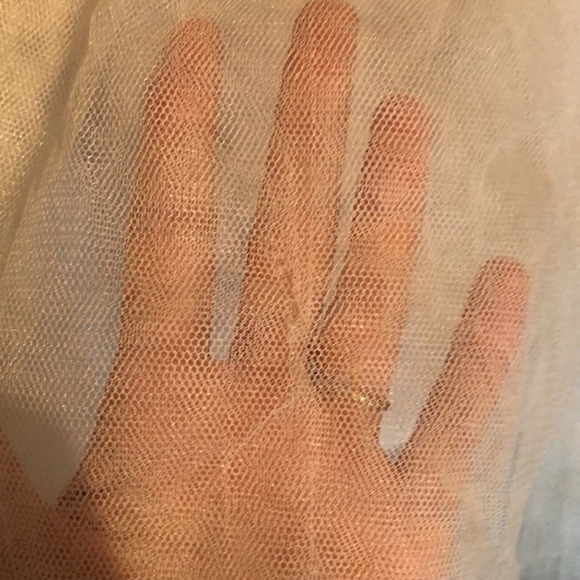 Lauren Conrad tulle skirt - Picture 3 of 7